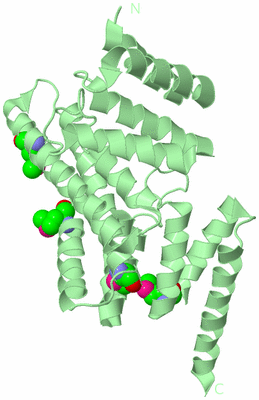 Image Biological Unit 2