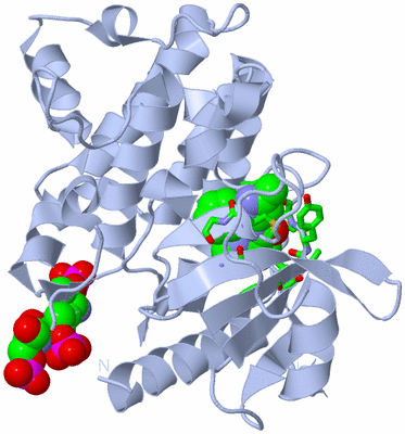 Image Biol. Unit 1 - sites