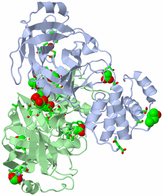 Image Asym./Biol. Unit - sites