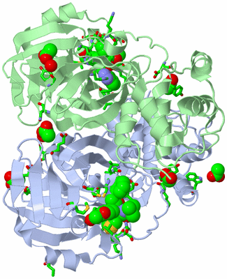 Image Asym./Biol. Unit - sites