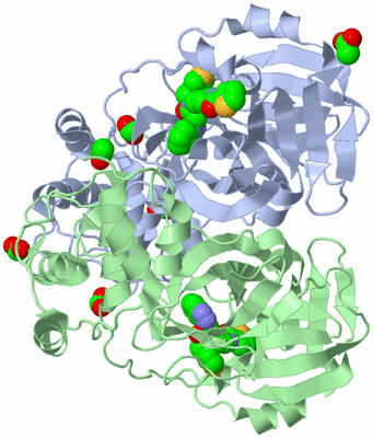 Image Asym./Biol. Unit