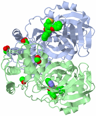 Image Asym./Biol. Unit