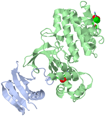 Image Asym./Biol. Unit - sites