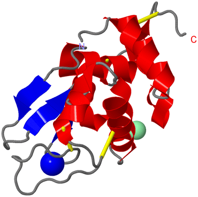 Image Asym./Biol. Unit