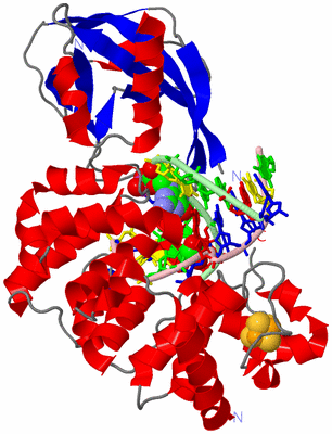 Image Asym./Biol. Unit