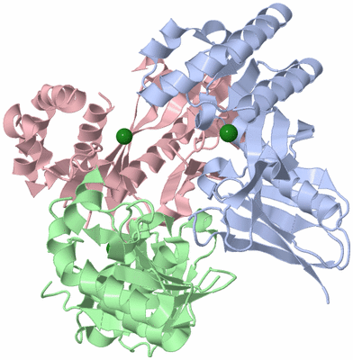 Image Asym./Biol. Unit