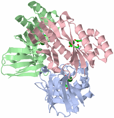 Image Asym./Biol. Unit - sites