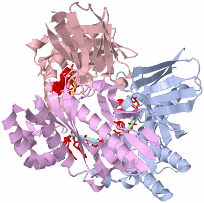 Image Asym./Biol. Unit