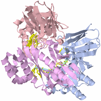 Image Asym./Biol. Unit