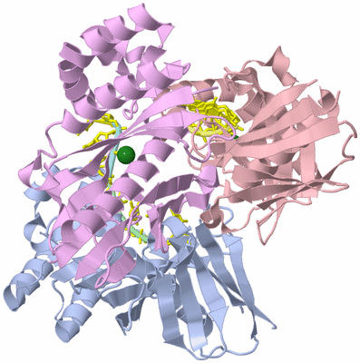 Image Asym./Biol. Unit