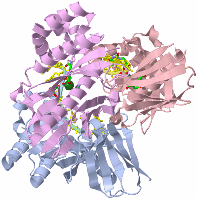 Image Asym./Biol. Unit - sites