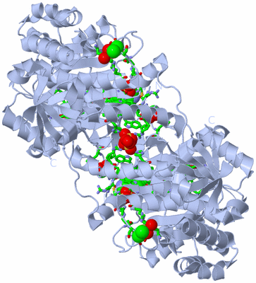 Image Biol. Unit 1 - sites