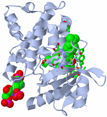 Image Biol. Unit 1 - sites