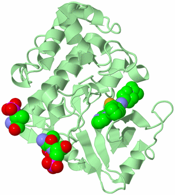 Image Biological Unit 2