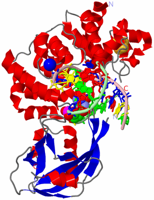 Image Asym./Biol. Unit