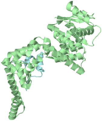 Image Biological Unit 3