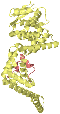 Image Biological Unit 4