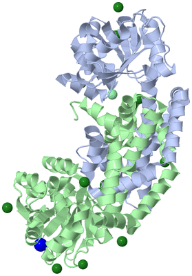 Image Asym./Biol. Unit