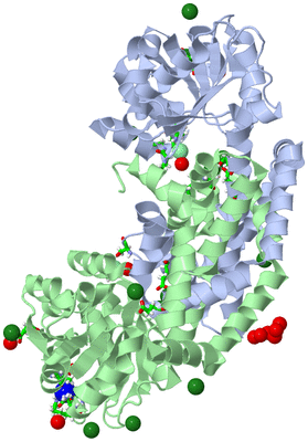 Image Asym./Biol. Unit - sites