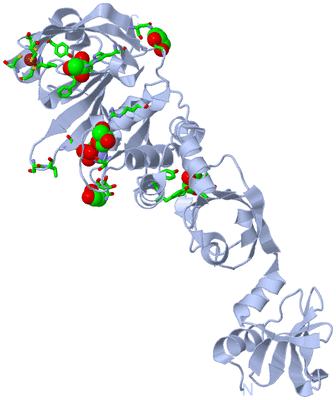 Image Biol. Unit 1 - sites