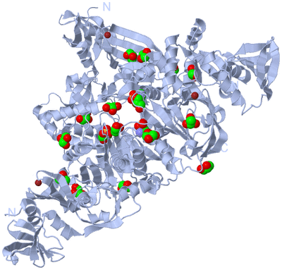 Image Biological Unit 2