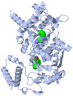 Image Biological Unit 1