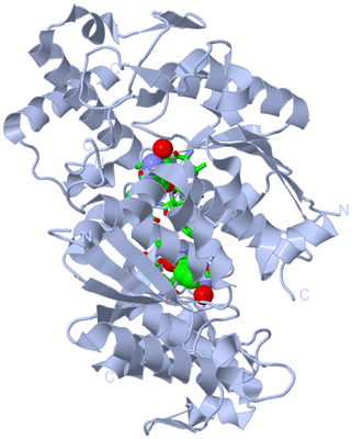 Image Biol. Unit 1 - sites