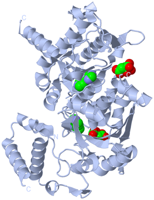 Image Biological Unit 1