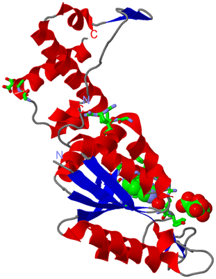 Image Asym. Unit - sites