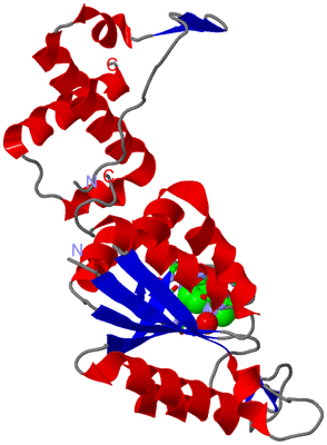 Image Asym. Unit - sites