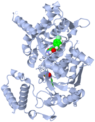 Image Biological Unit 1