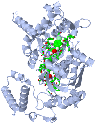 Image Biol. Unit 1 - sites