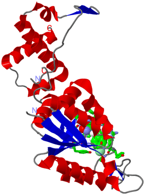 Image Asym. Unit - sites