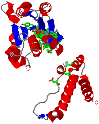 Image Asym. Unit - sites