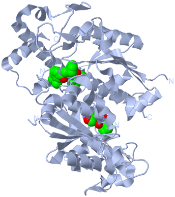 Image Biological Unit 1