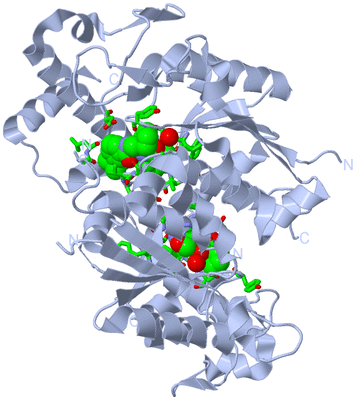 Image Biol. Unit 1 - sites