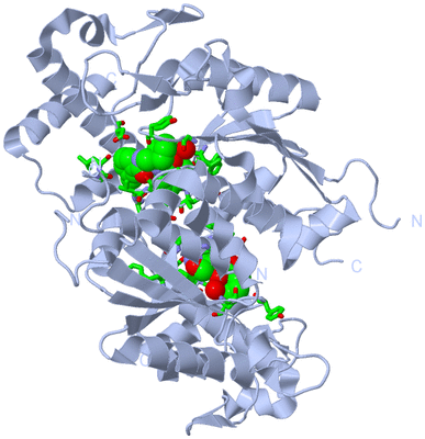 Image Biol. Unit 1 - sites