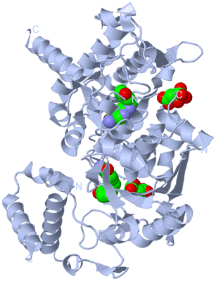 Image Biological Unit 1