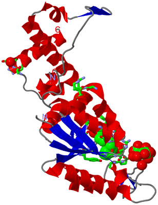 Image Asym. Unit - sites