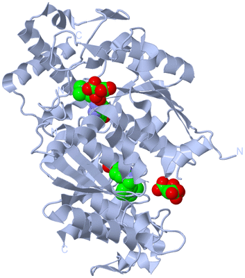 Image Biological Unit 1