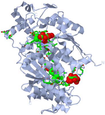 Image Biol. Unit 1 - sites