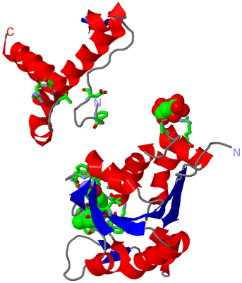 Image Asym. Unit - sites