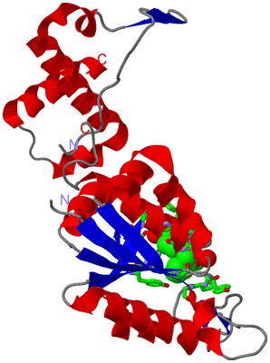 Image Asym. Unit - sites