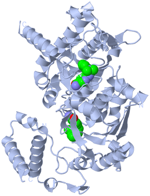 Image Biological Unit 1