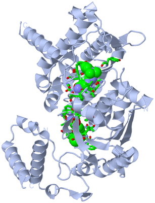 Image Biol. Unit 1 - sites