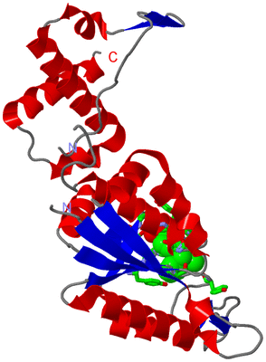 Image Asym. Unit - sites