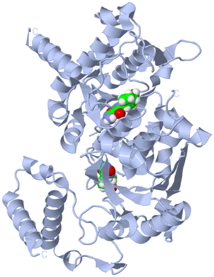 Image Biological Unit 1