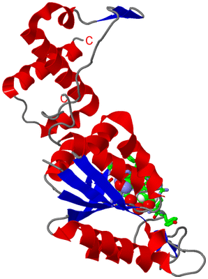 Image Asym. Unit - sites