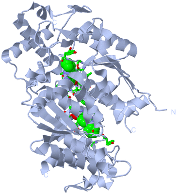 Image Biol. Unit 1 - sites