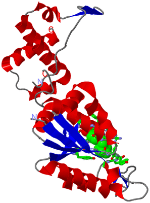 Image Asym. Unit - sites